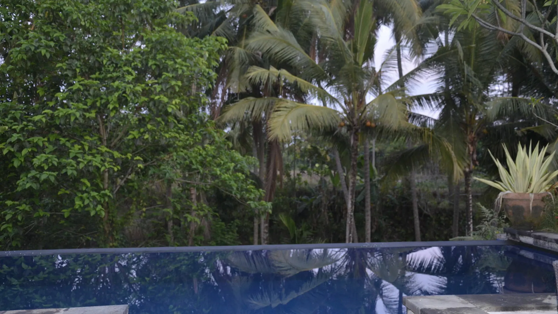 The Cory Villa Ubud  Hotel Ubud (Bali)